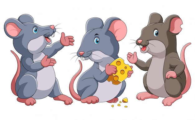 Detail Mice Cartoon Images Nomer 12