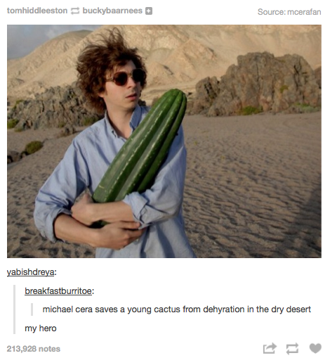 Detail Michael Cera Meme Nomer 7