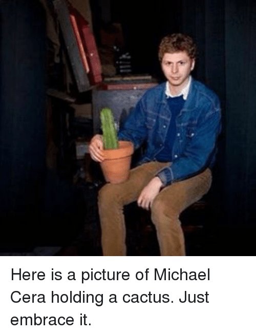 Detail Michael Cera Meme Nomer 8