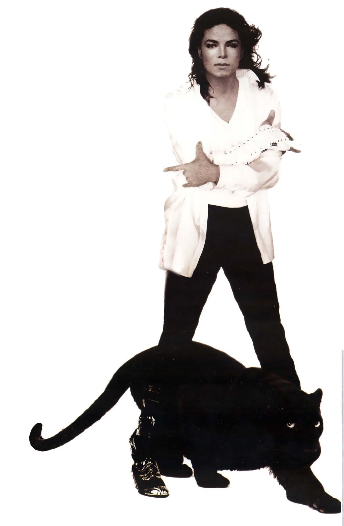 Detail Michael Jackson White Background Nomer 16