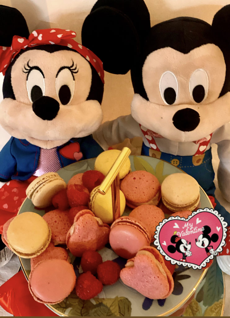 Detail Mickey Macaron Nomer 39
