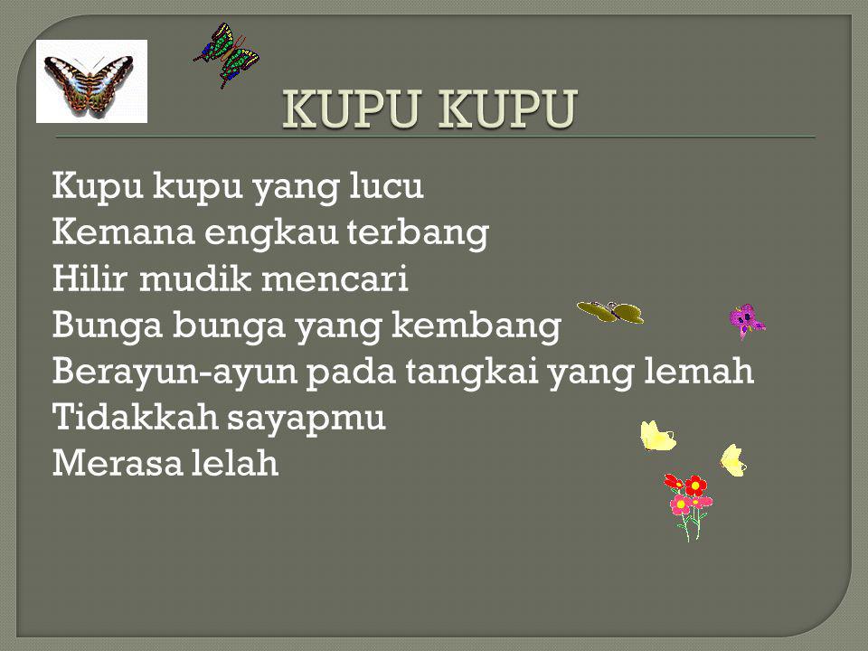 Detail Kupu Kupu Yang Lucu Lyrics Nomer 27