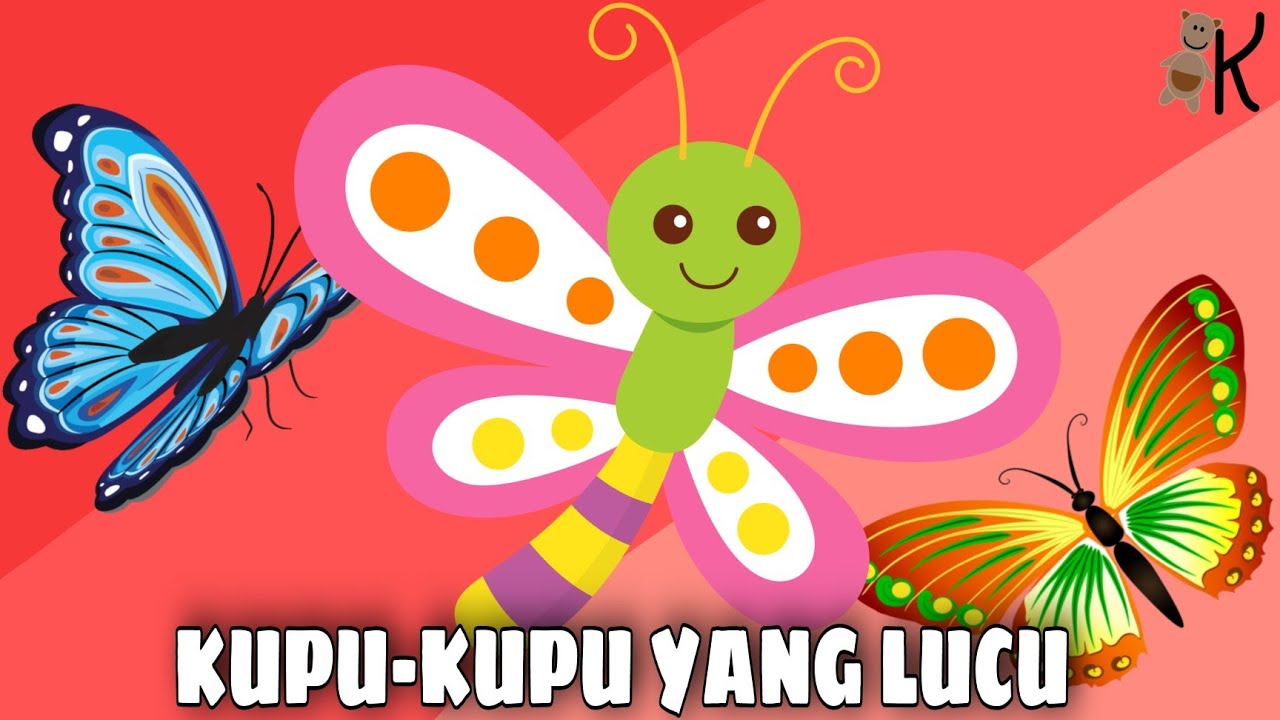 Detail Kupu2 Yang Lucu Nomer 39