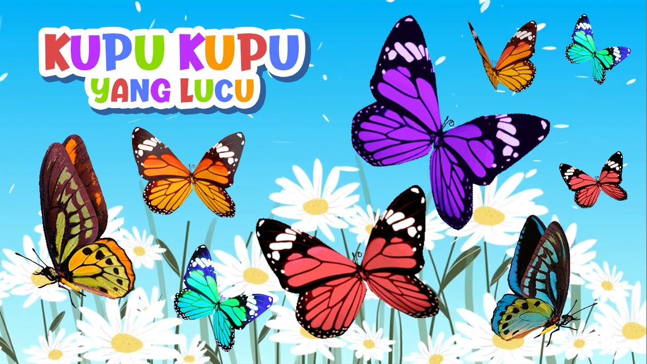 Detail Kupu2 Yang Lucu Nomer 53