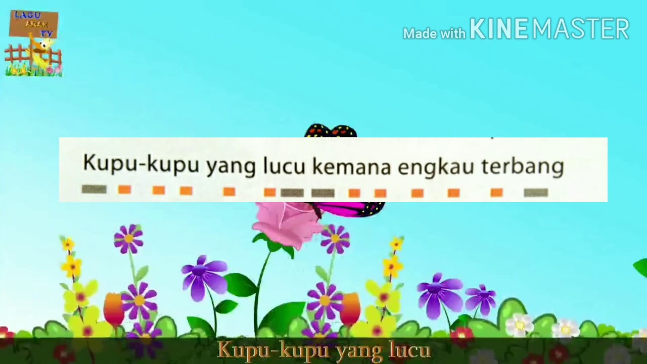 Detail Kupu2 Yang Lucu Nomer 54