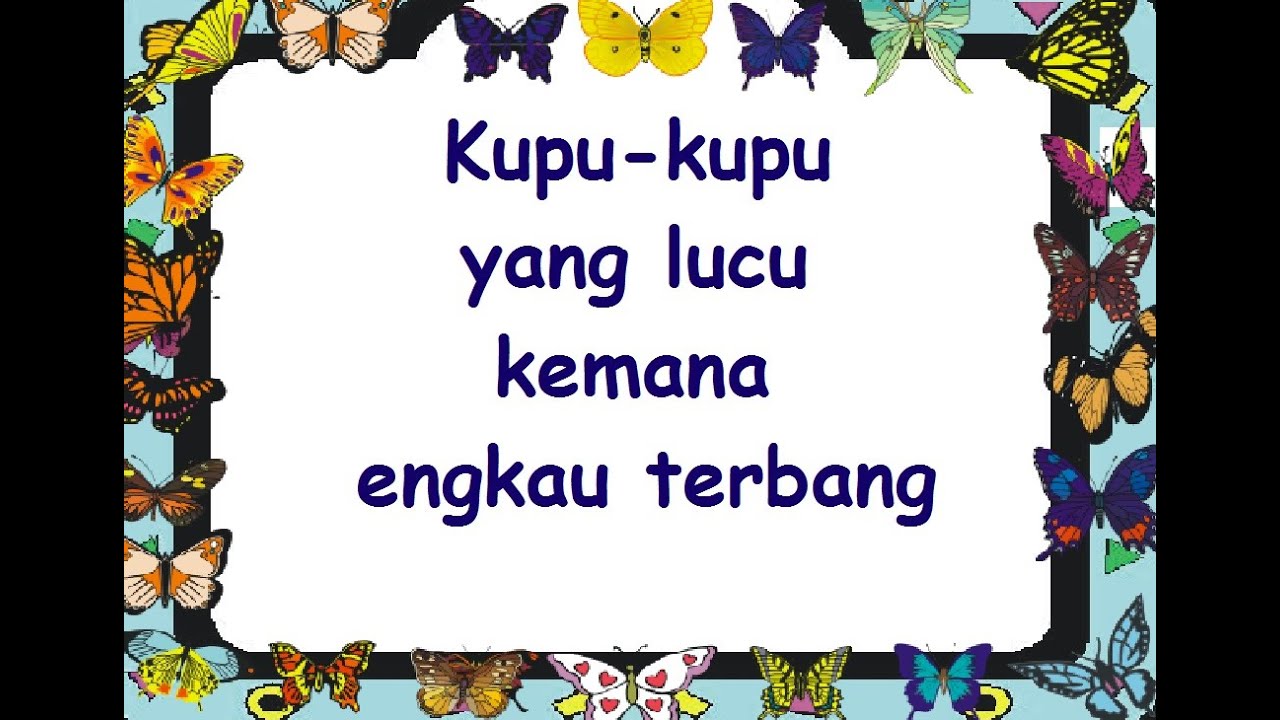 Detail Kupu2 Yang Lucu Nomer 8