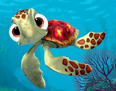 Kura Kura Finding Nemo - KibrisPDR