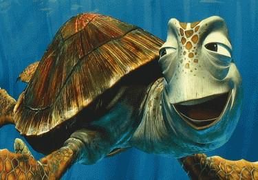 Detail Kura Kura Finding Nemo Nomer 2