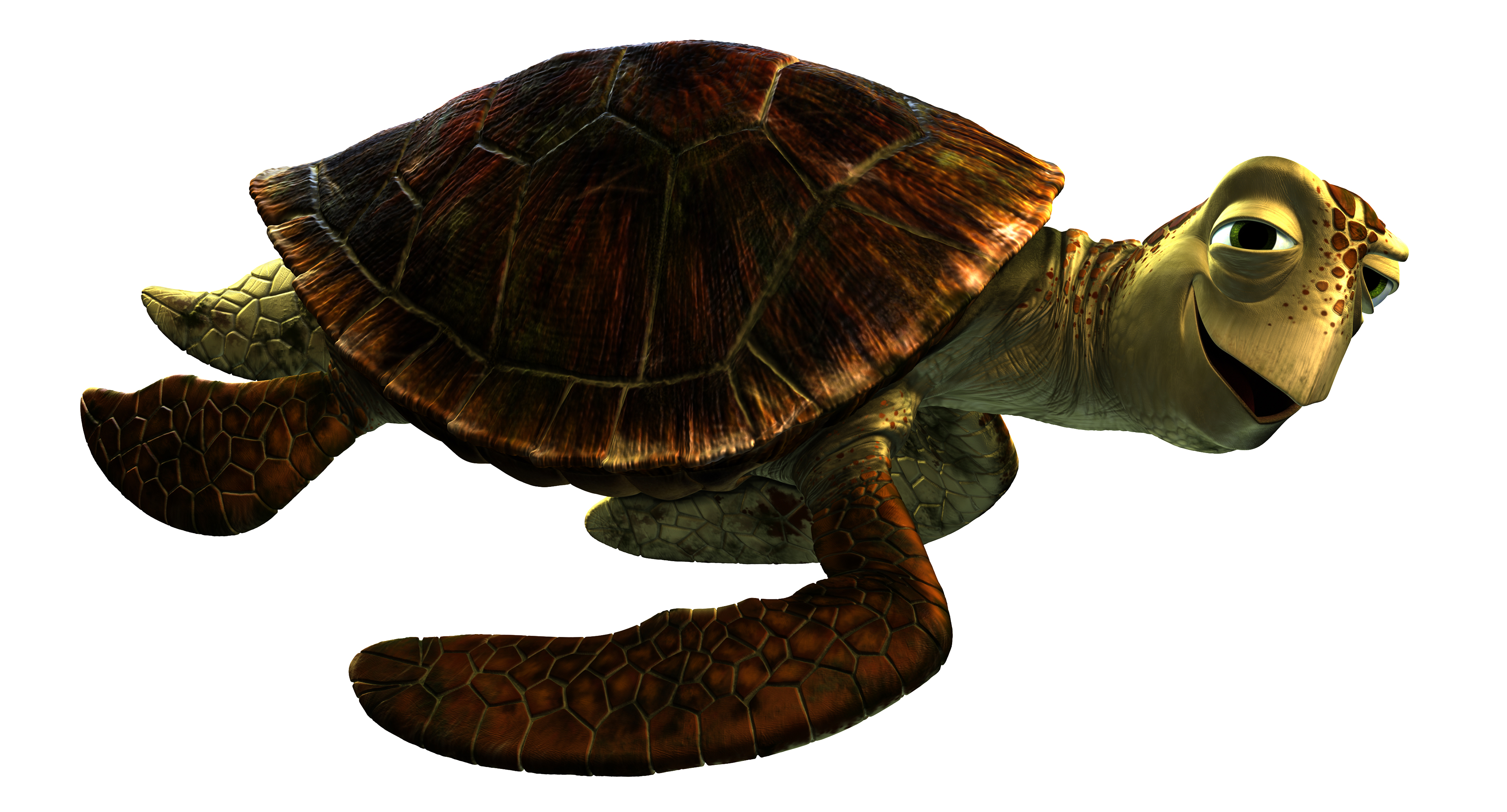Detail Kura Kura Finding Nemo Nomer 11