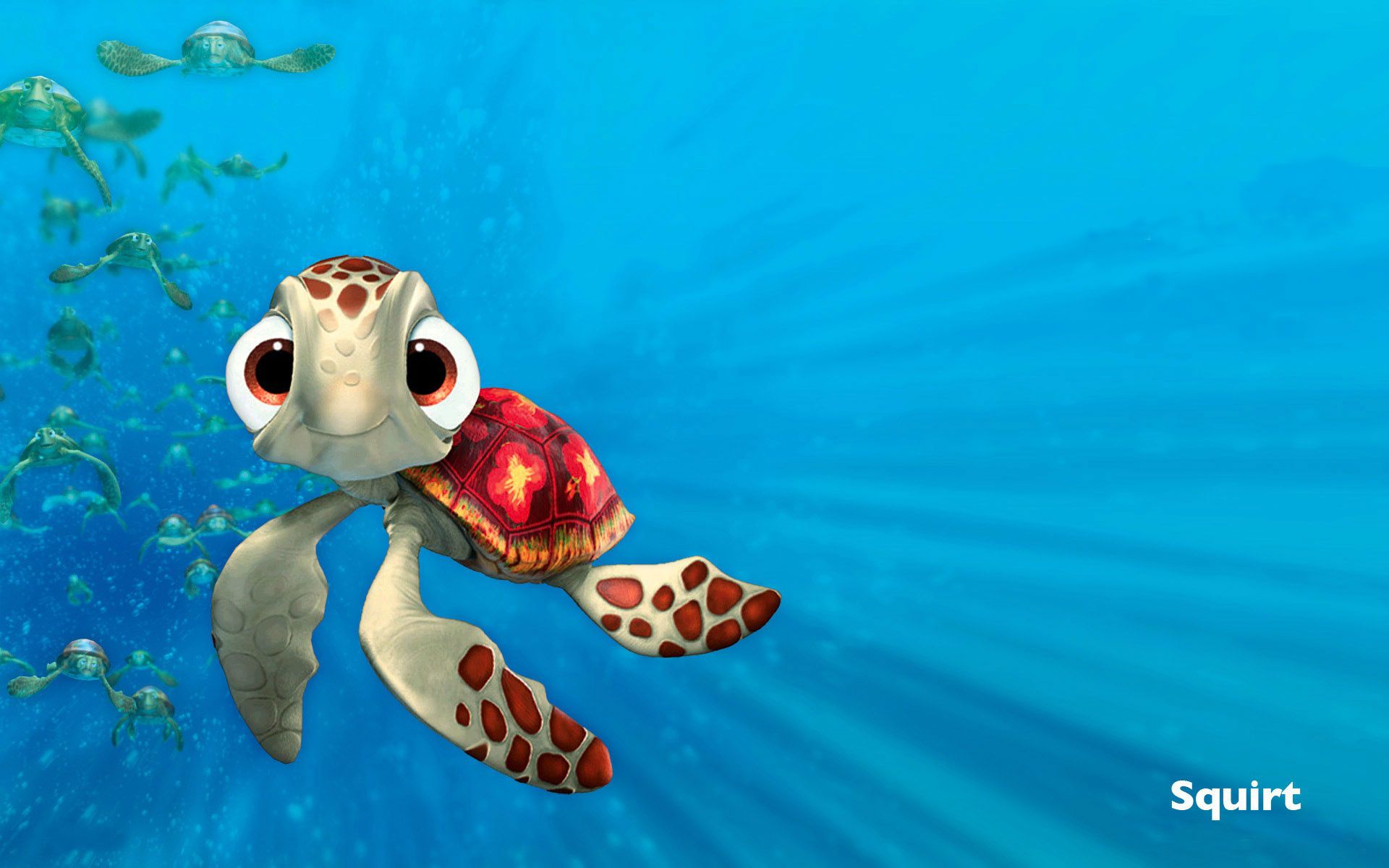 Detail Kura Kura Finding Nemo Nomer 13
