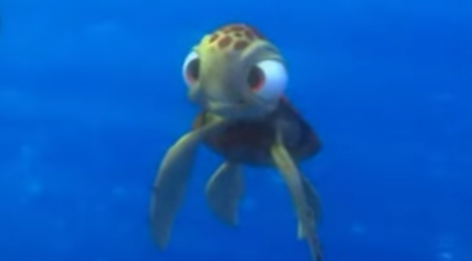 Detail Kura Kura Finding Nemo Nomer 15