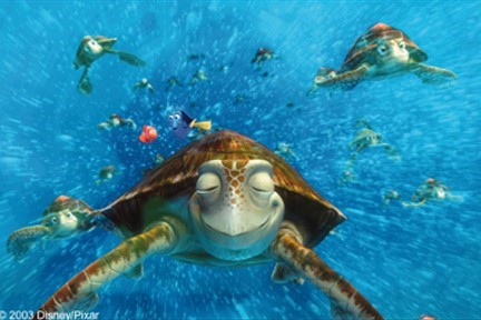 Detail Kura Kura Finding Nemo Nomer 17