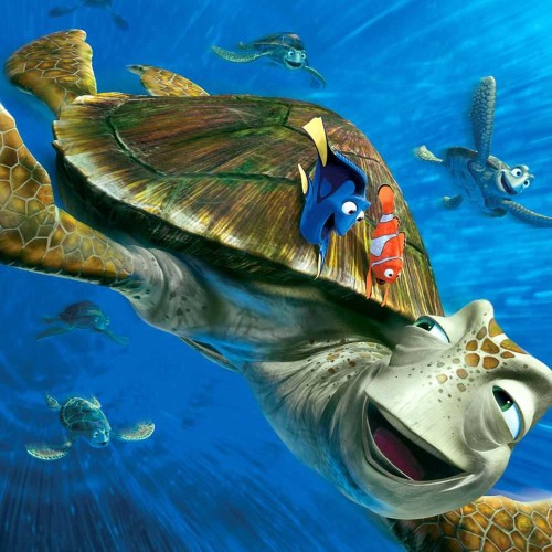 Detail Kura Kura Finding Nemo Nomer 18