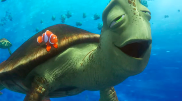 Detail Kura Kura Finding Nemo Nomer 3