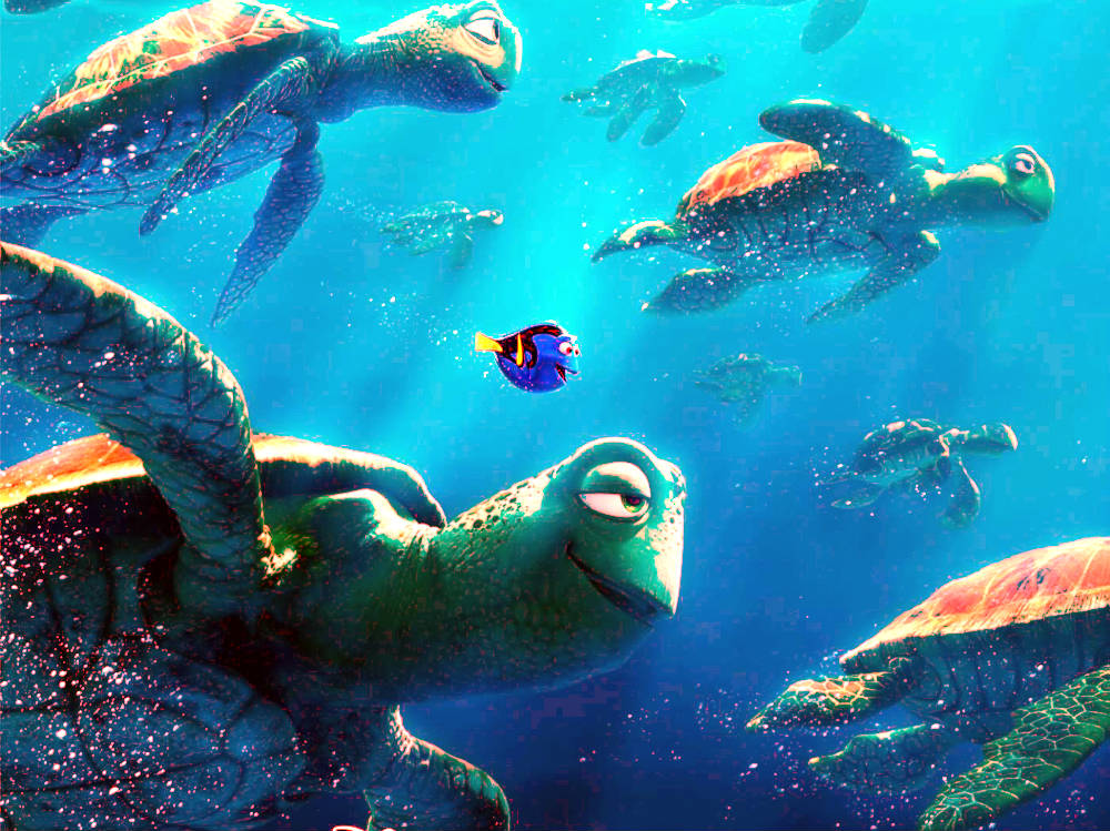 Detail Kura Kura Finding Nemo Nomer 20