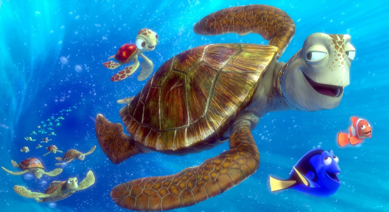 Detail Kura Kura Finding Nemo Nomer 21