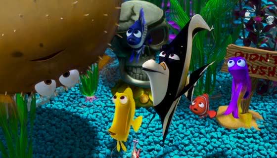 Detail Kura Kura Finding Nemo Nomer 38