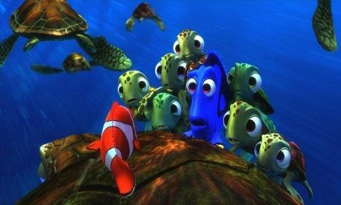 Detail Kura Kura Finding Nemo Nomer 46