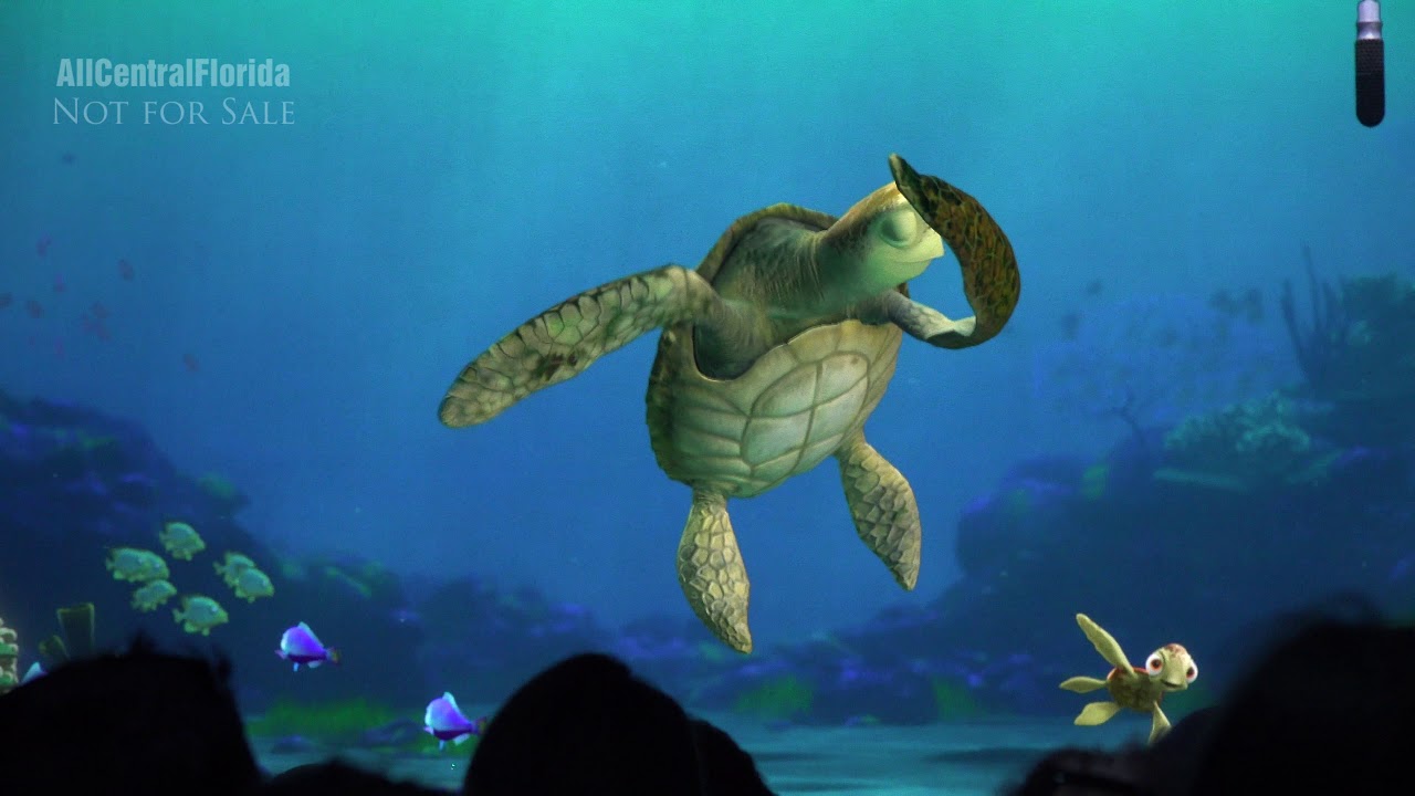 Detail Kura Kura Finding Nemo Nomer 51