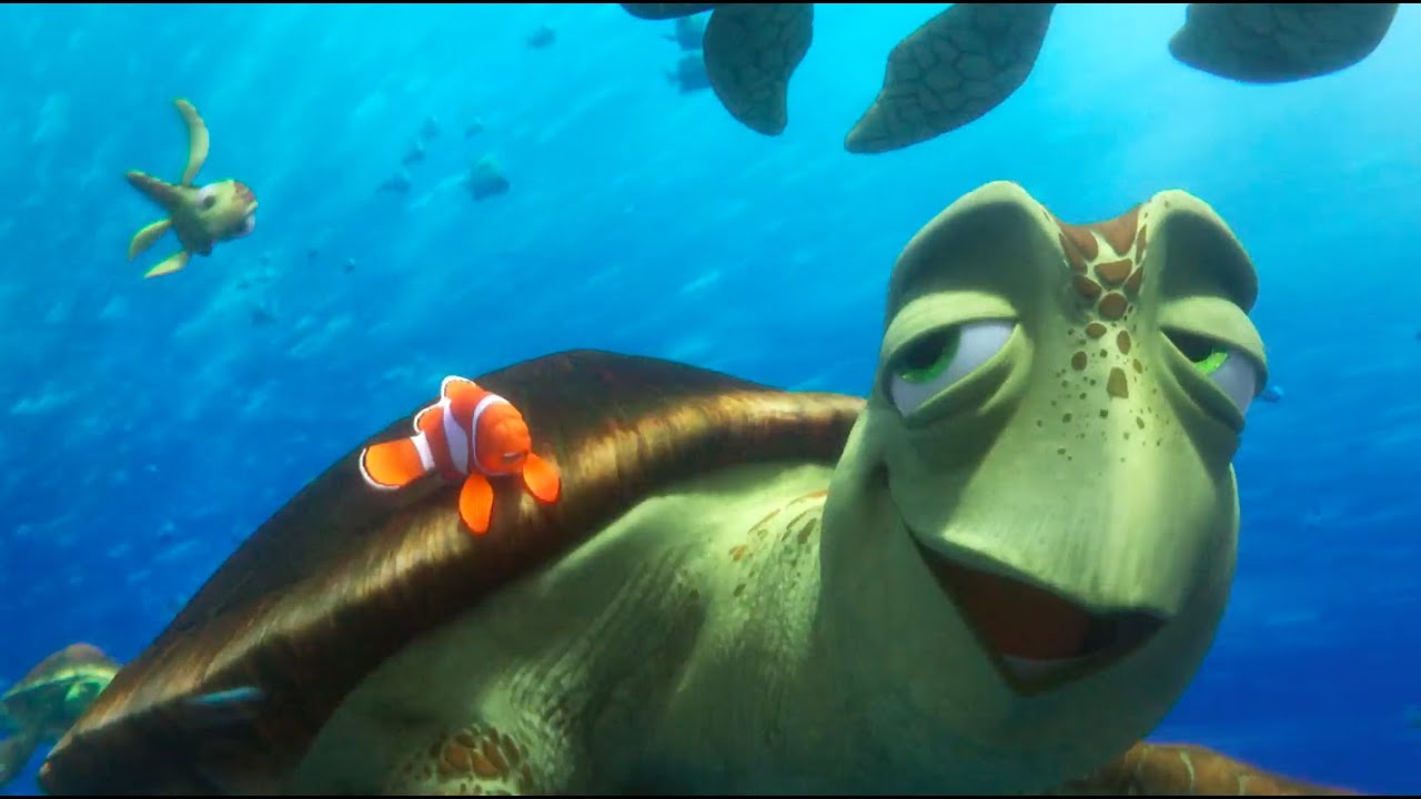 Detail Kura Kura Finding Nemo Nomer 9