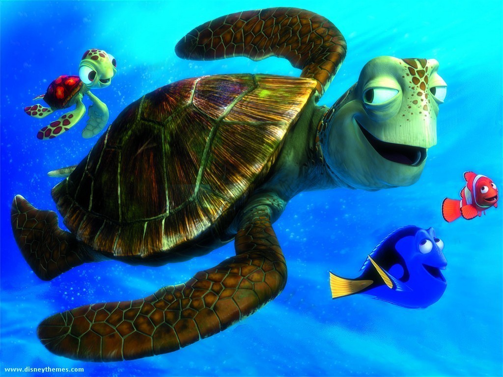 Detail Kura Kura Finding Nemo Nomer 10