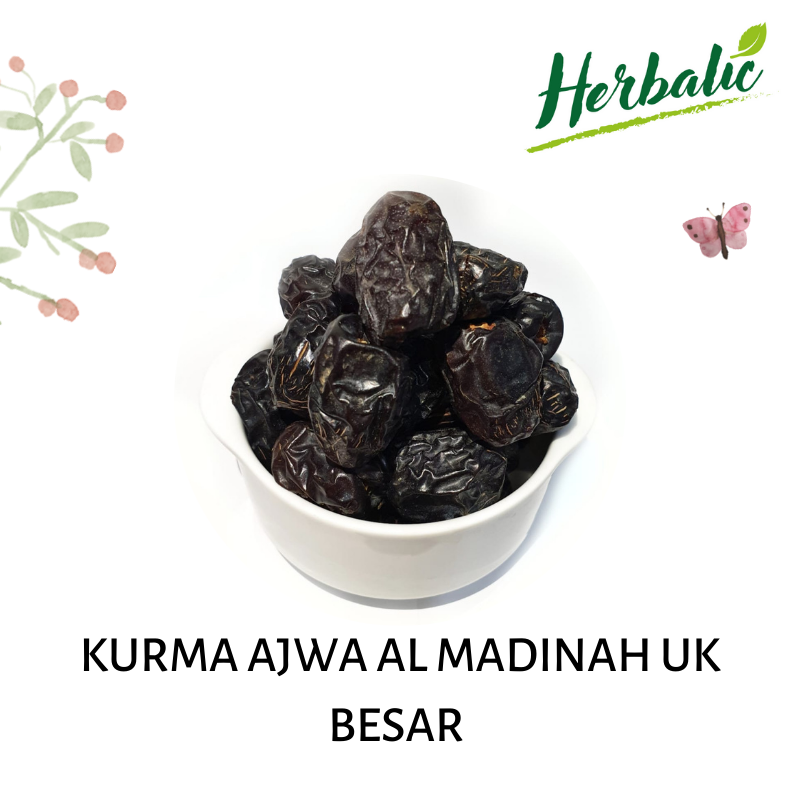 Detail Kurma Ajwa Png Nomer 41