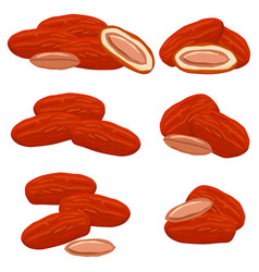 Kurma Vector Png - KibrisPDR