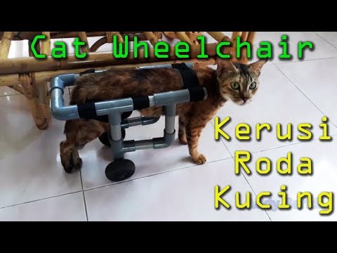 Detail Kursi Roda Kucing Nomer 44