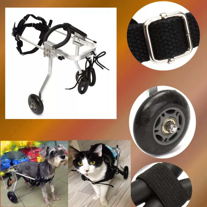 Detail Kursi Roda Kucing Nomer 9