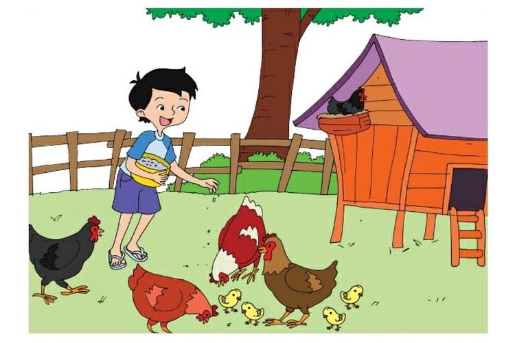 Detail Kurungan Ayam Kartun Nomer 22