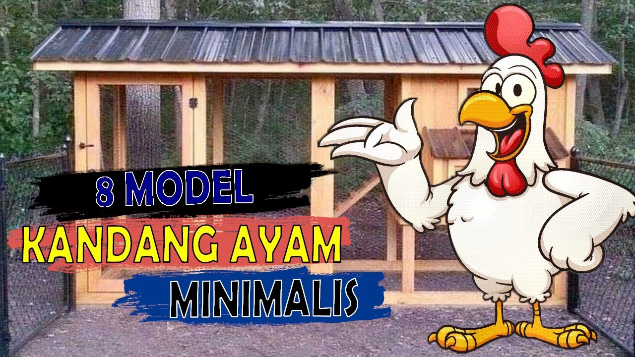 Detail Kurungan Ayam Kartun Nomer 55