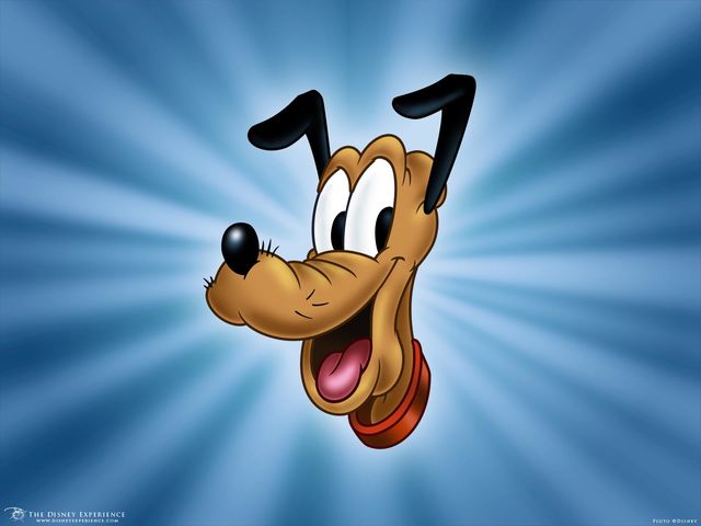 Detail Mickey Mouse And Pluto Cartoons Nomer 10