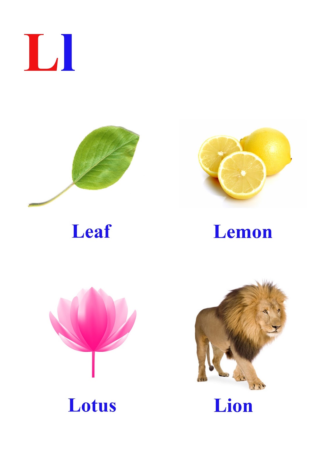 Detail L Letter Words Images Nomer 20