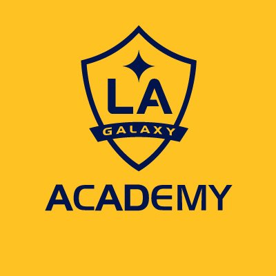 Detail La Galaxy Logo Nomer 44