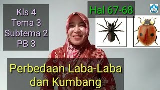 Detail Laba Laba Dan Kumbang Nomer 15