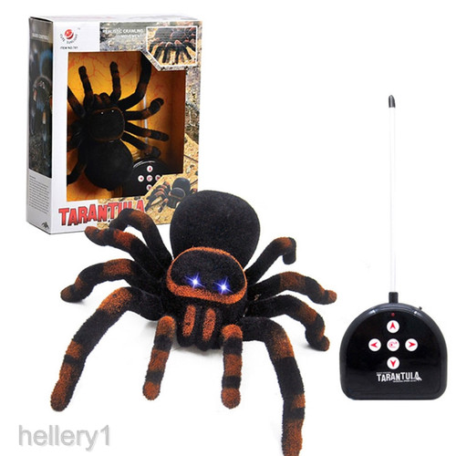 Detail Laba Laba Tarantula Nomer 20