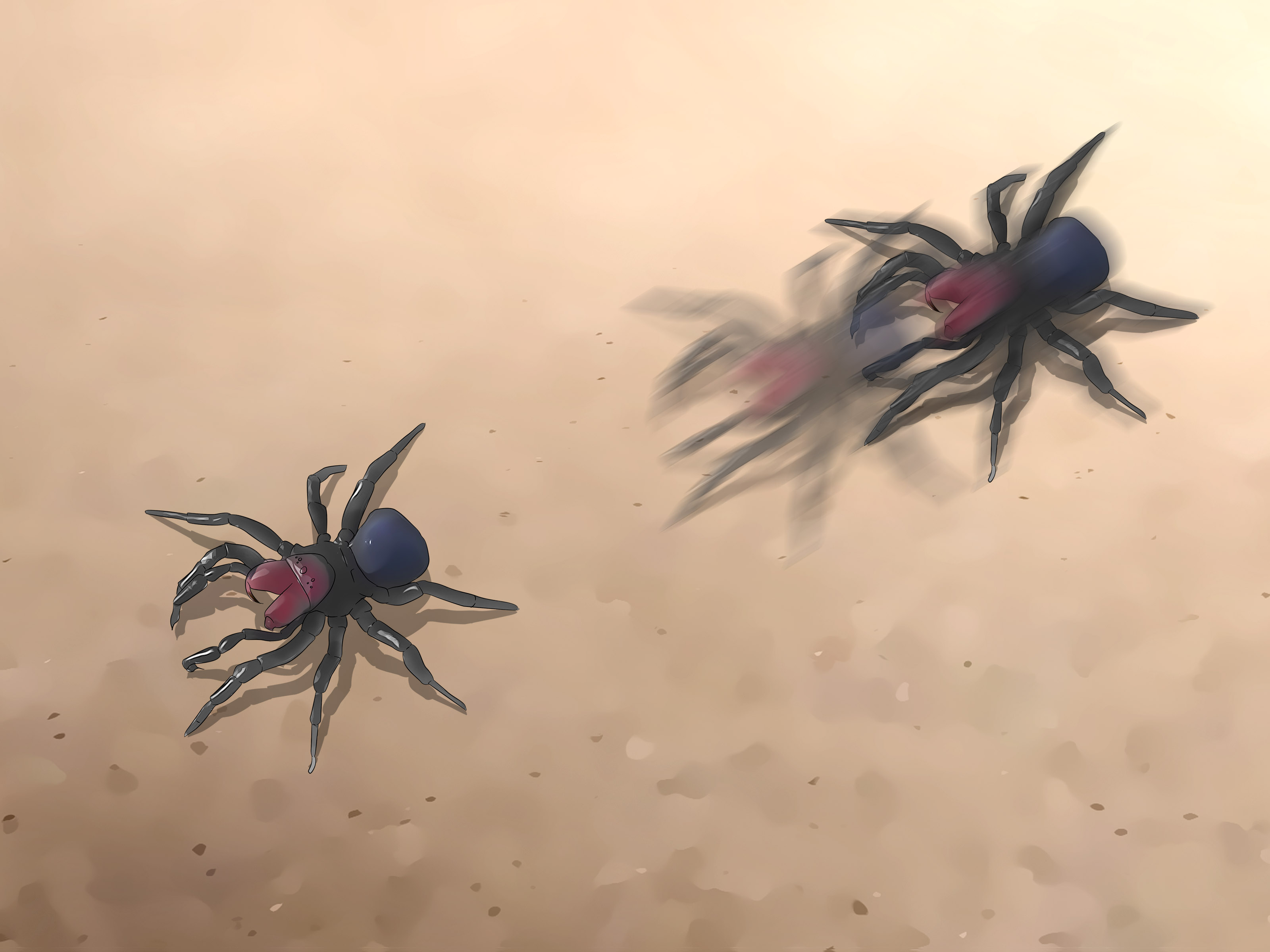 Detail Laba Laba Tarantula Nomer 30