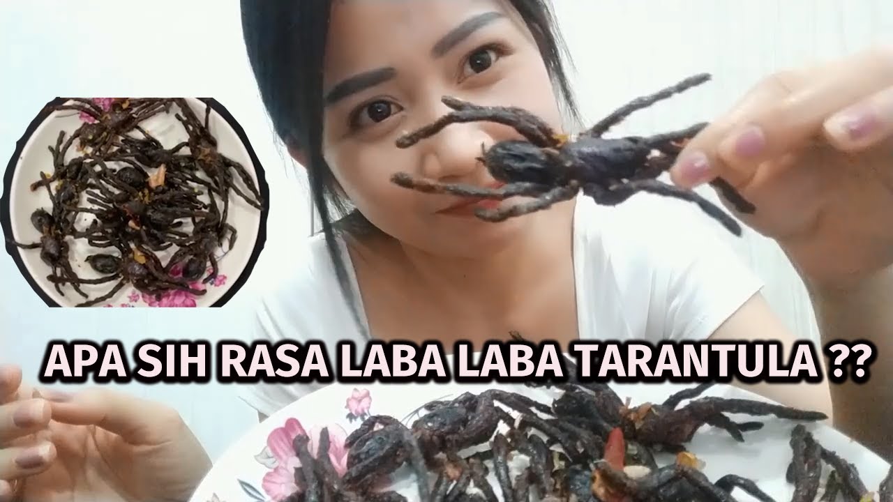 Detail Laba Laba Tarantula Nomer 51