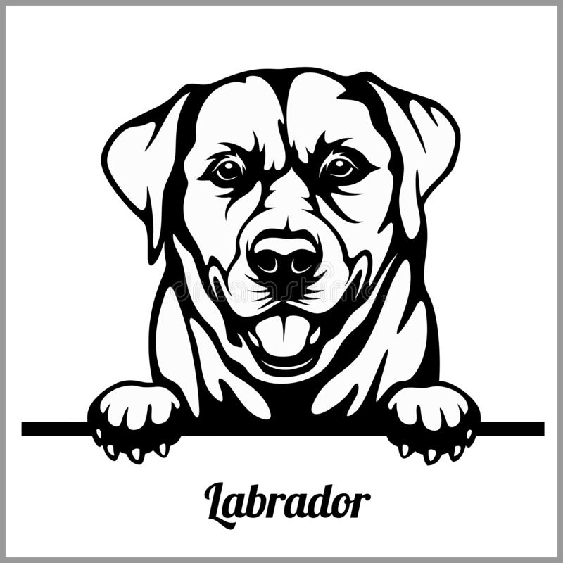 Detail Labrador Clip Art Free Nomer 18