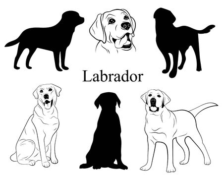 Detail Labrador Clip Art Free Nomer 19