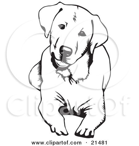 Detail Labrador Clip Art Free Nomer 20