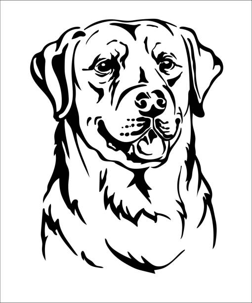 Detail Labrador Clip Art Free Nomer 42