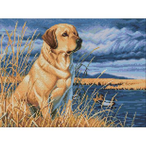 Labrador Diamond Painting - KibrisPDR