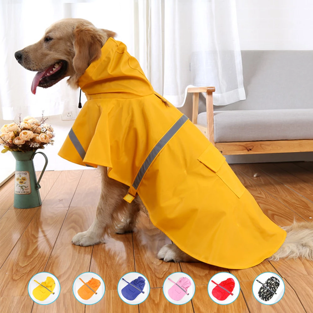 Detail Labrador Raincoat Nomer 2
