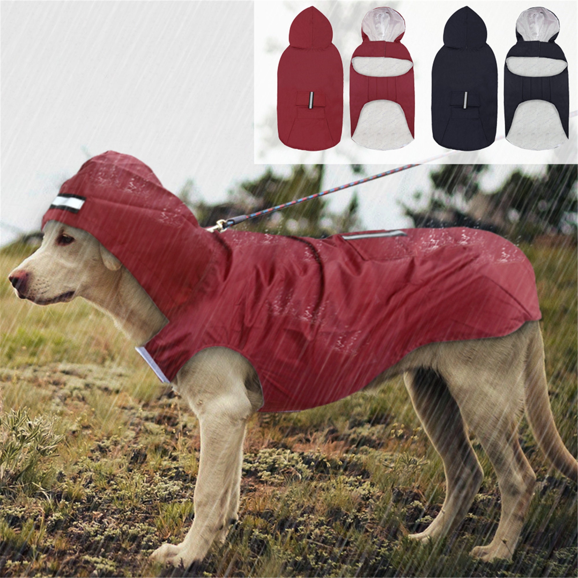 Detail Labrador Raincoat Nomer 14