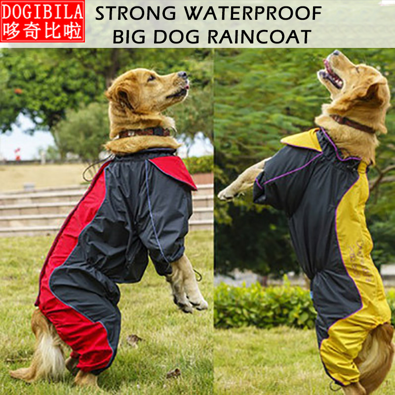 Detail Labrador Raincoat Nomer 15