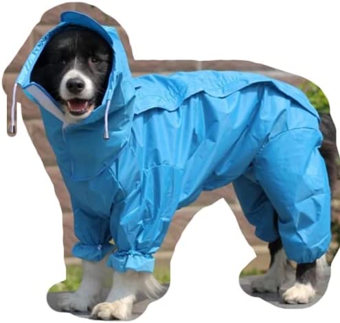 Detail Labrador Raincoat Nomer 16