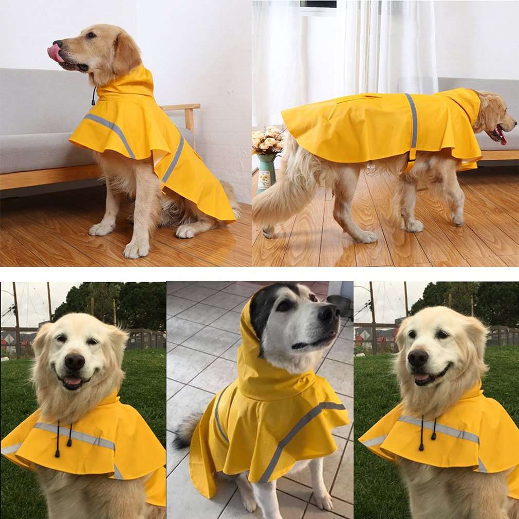 Detail Labrador Raincoat Nomer 20