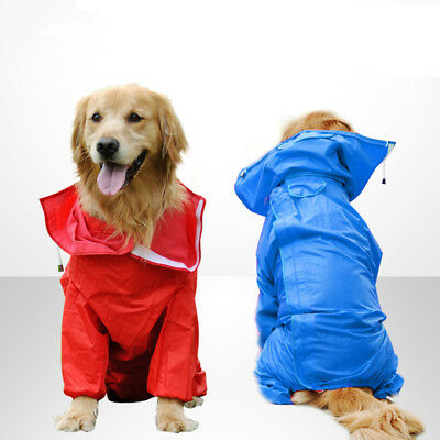 Detail Labrador Raincoat Nomer 38