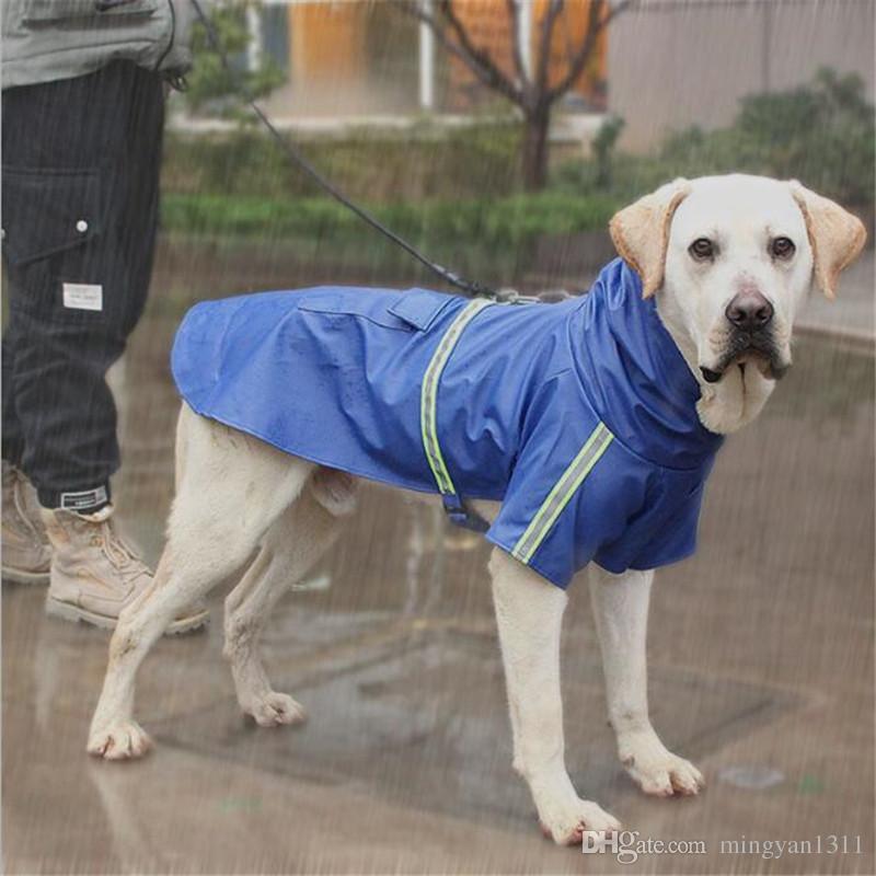 Detail Labrador Raincoat Nomer 57